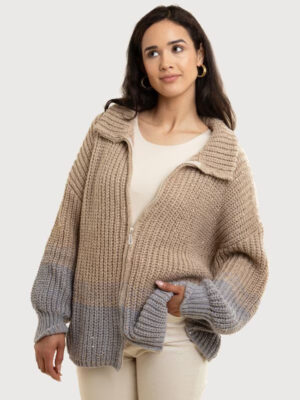 Saachi zip-up sequin cardigan in beige and gray ombre knit with collared design